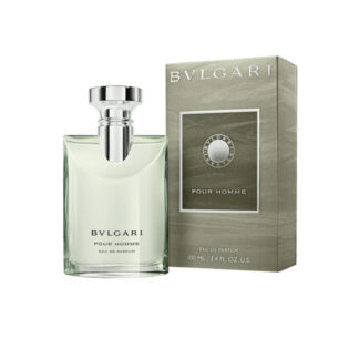 Ανδρικό Άρωμα Bvlgari Bvlgari  EDP 100 ml