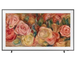 65" The Frame