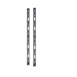 Vano verticale di sistemazione cavi, NetShelter SX, 42U (N. 2) (AR7502)