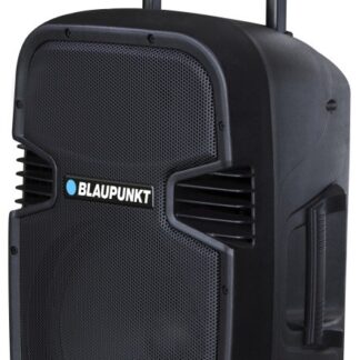 Audio system PA12 PLL Karaoke